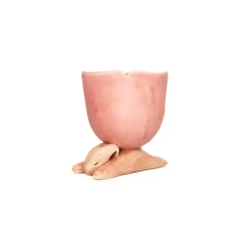 TULIP RABBIT CUP TULIP   كأس أرنب التوليب