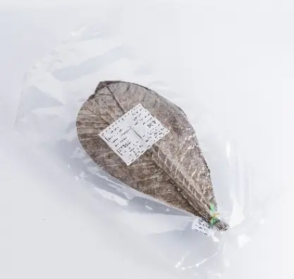 HOOBA MAGNOLIA LEAVES (L)80G أوراق ماغنوليا هوبا (لتر) 80 جرام